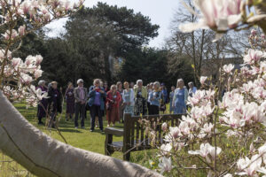Group of alumnae by the armistice tree