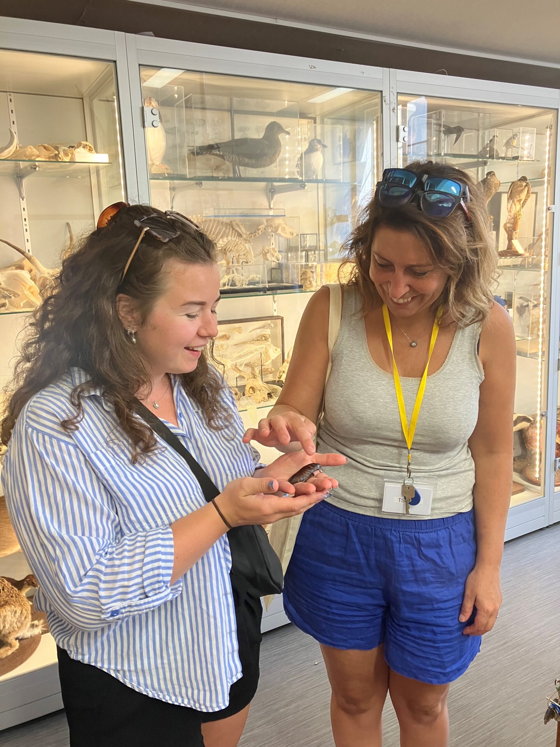 Two teachers in the Oxford Museum of Natural History, holding and looking at an insect.