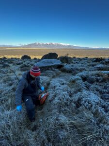 Monty sampling in the frost