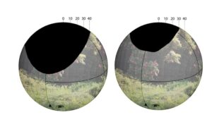 Male pheasants (left) have much more restricted binocular vision than females.Alex Lamond and Steve Portugal